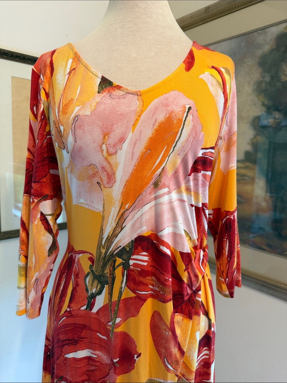 NWT Soft Surroundings Elia Maxi Dress in Apricot Coral Size XLP - Picture 5 of 11